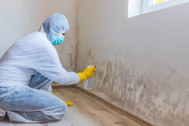 Bathroom Mold Removal assessment in Prides Crossing bathroom